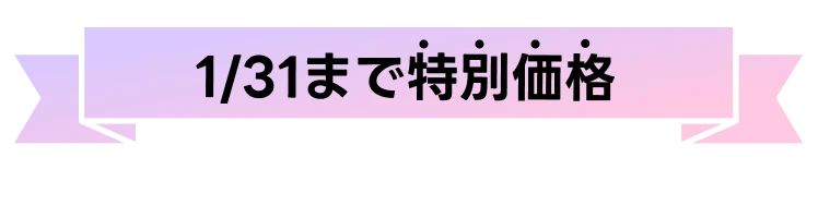 1/31まで特別価格